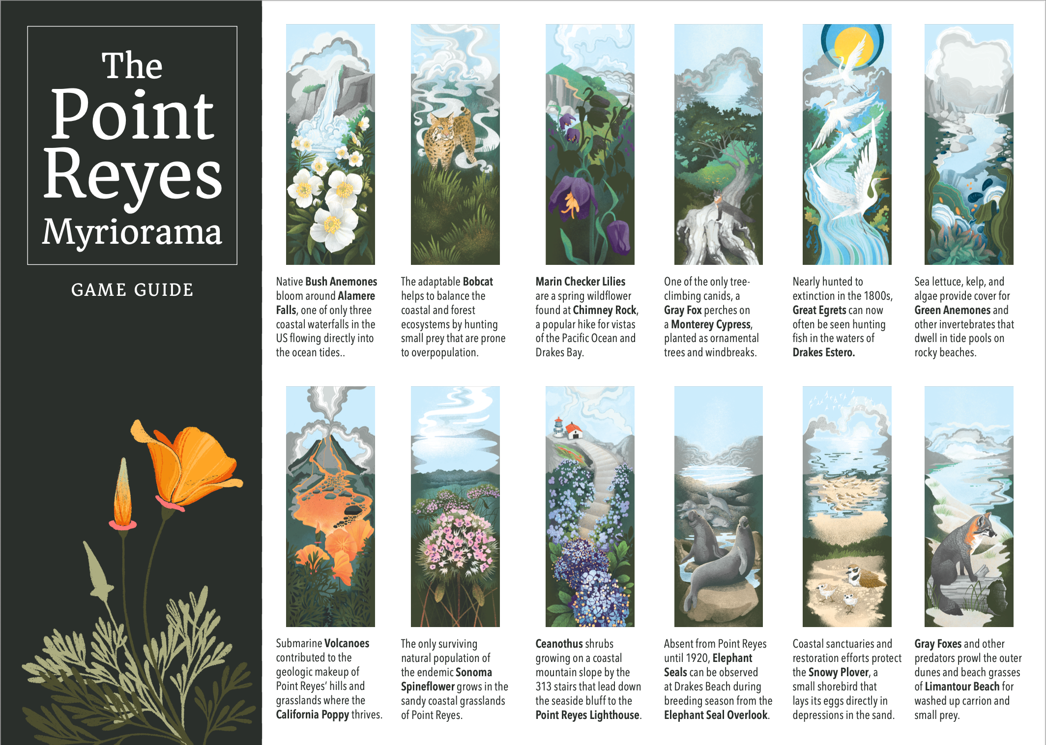 The Point Reyes Myriorama (Pre-Order)