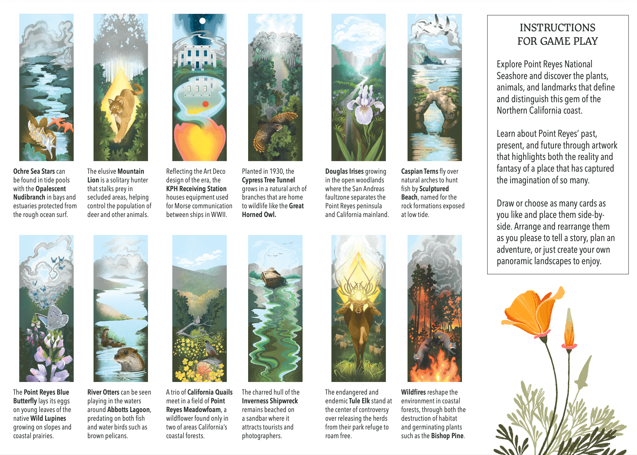 The Point Reyes Myriorama (Pre-Order)