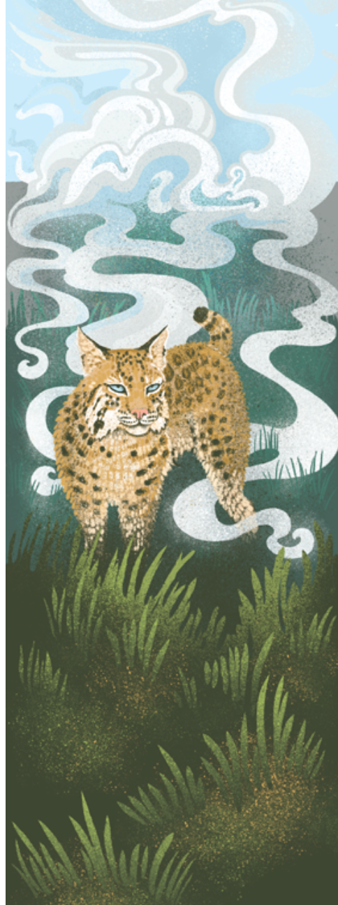 The Point Reyes Myriorama (Pre-Order)