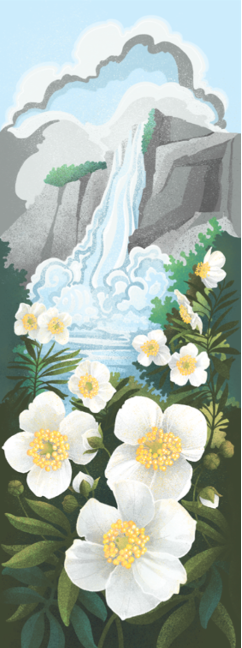 The Point Reyes Myriorama (Pre-Order)