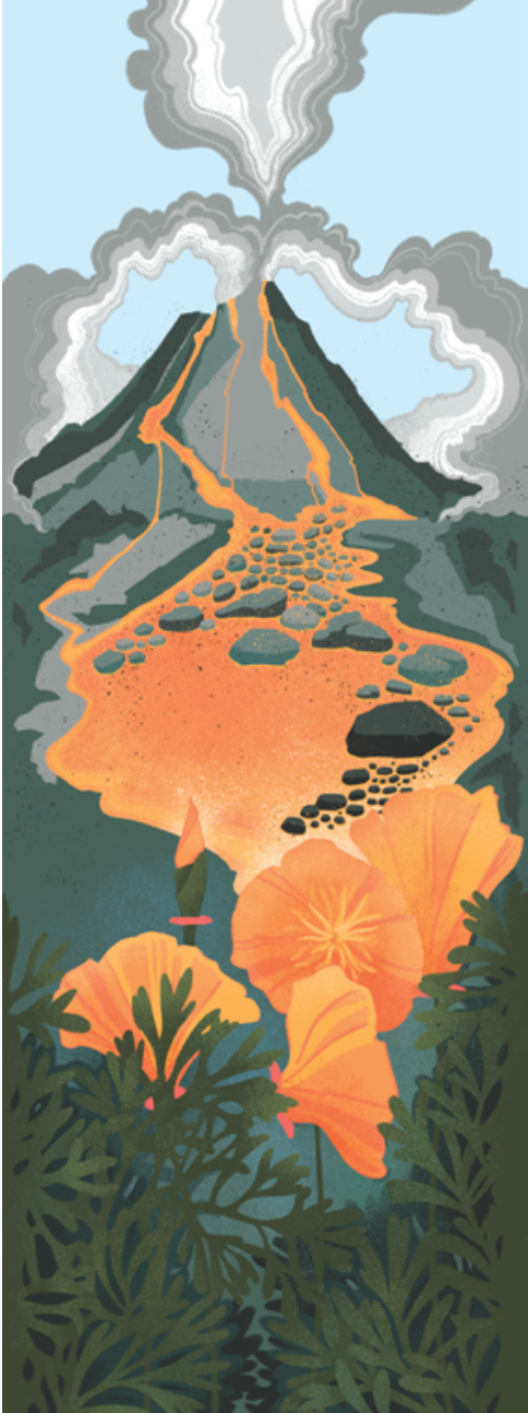 The Point Reyes Myriorama (Pre-Order)