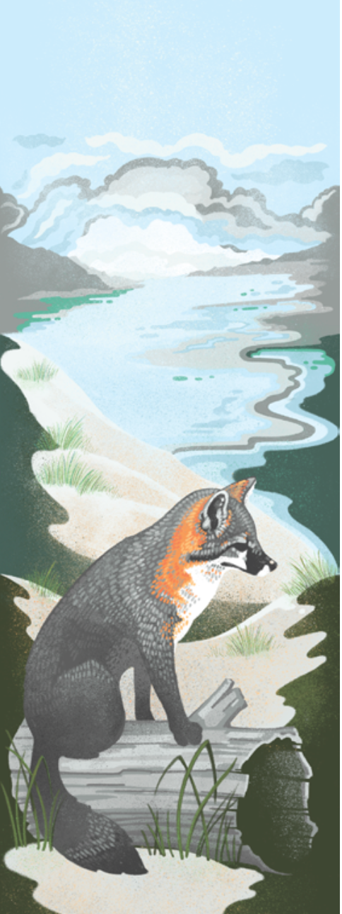 The Point Reyes Myriorama (Pre-Order)