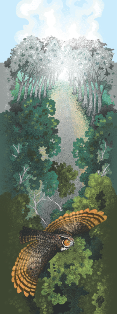 The Point Reyes Myriorama (Pre-Order)