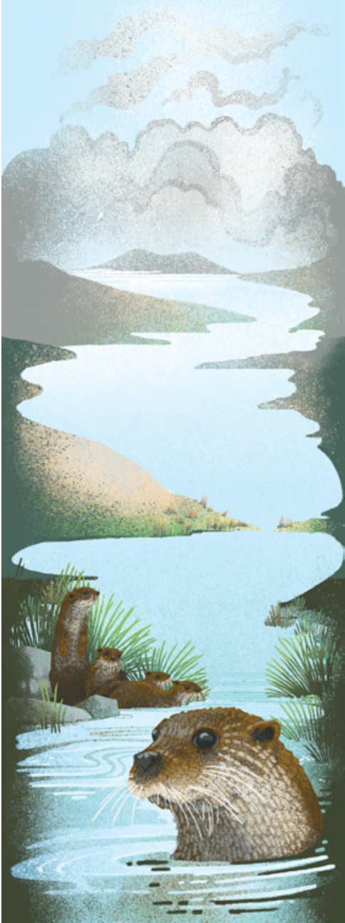 The Point Reyes Myriorama (Pre-Order)