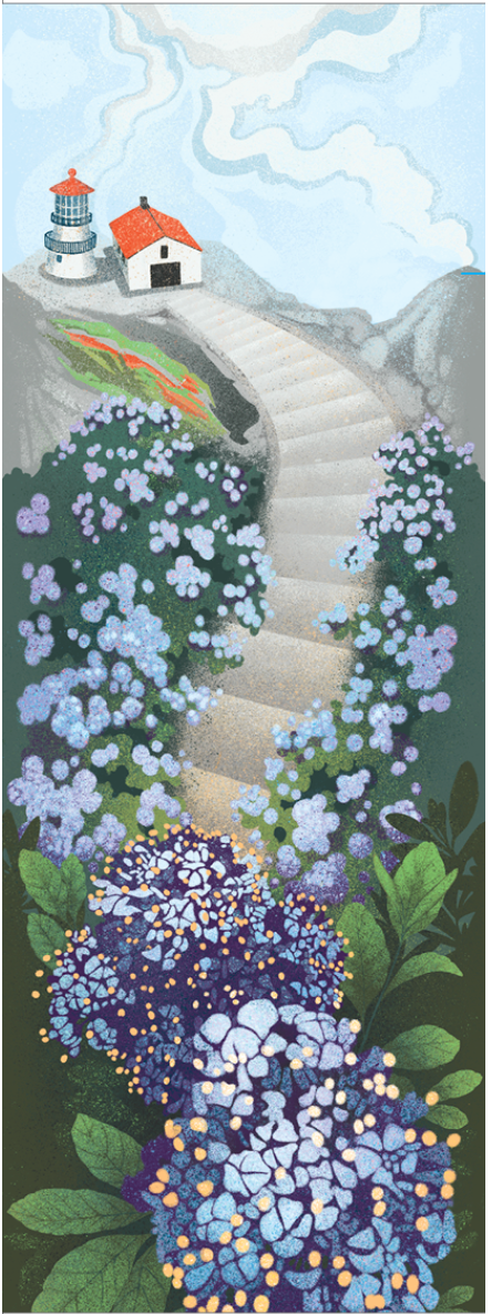 The Point Reyes Myriorama (Pre-Order)