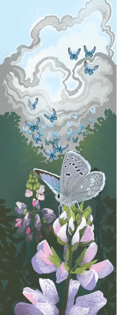 The Point Reyes Myriorama (Pre-Order)