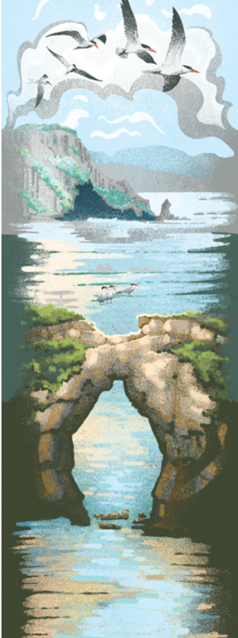 The Point Reyes Myriorama (Pre-Order)