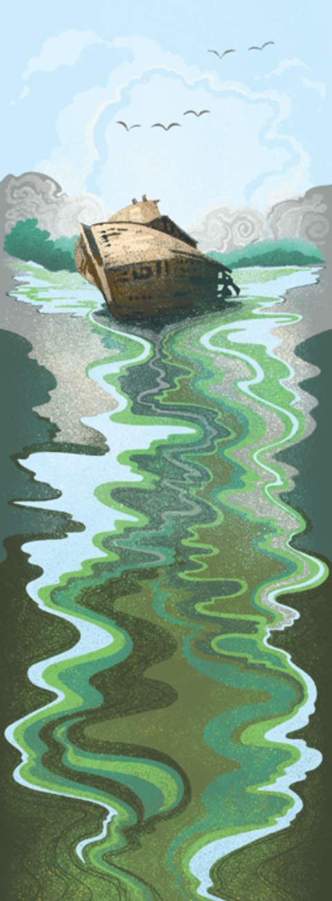 The Point Reyes Myriorama (Pre-Order)