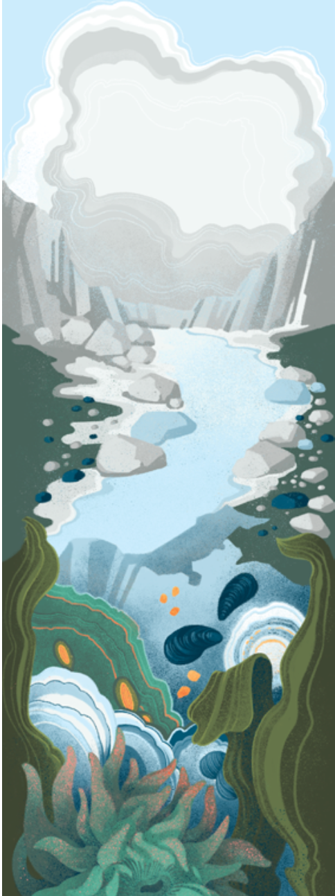 The Point Reyes Myriorama (Pre-Order)