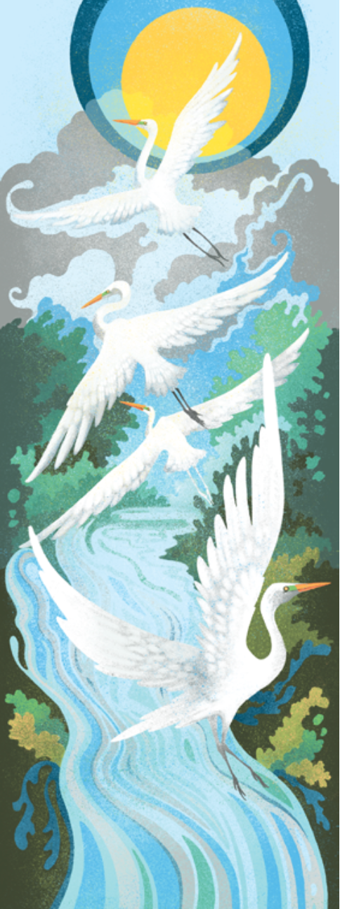 The Point Reyes Myriorama (Pre-Order)