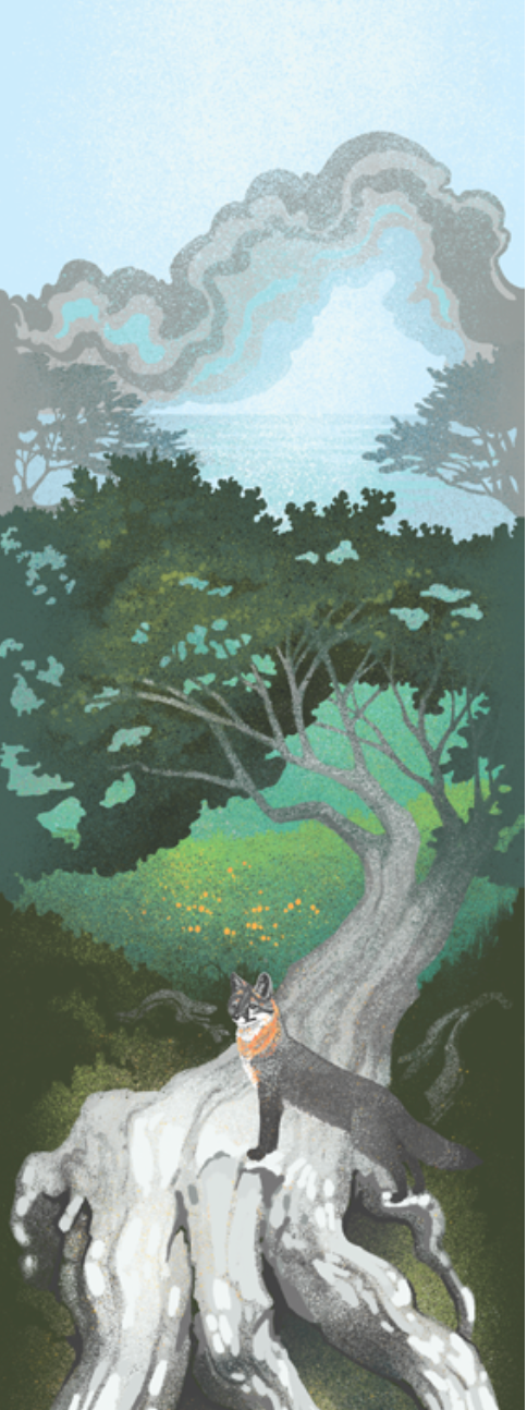 The Point Reyes Myriorama (Pre-Order)