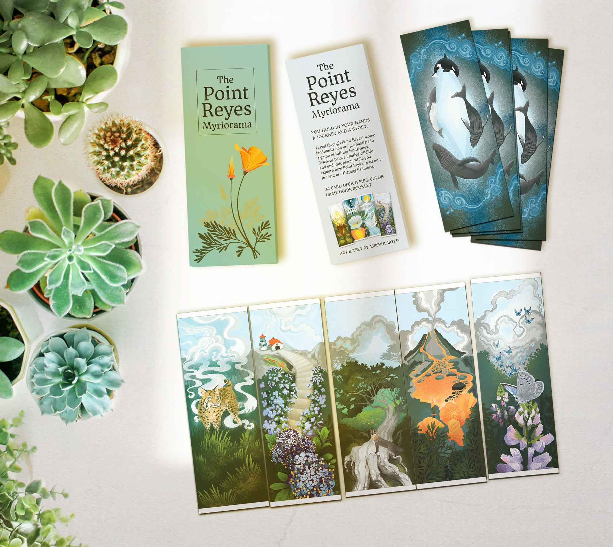 The Point Reyes Myriorama (Pre-Order)