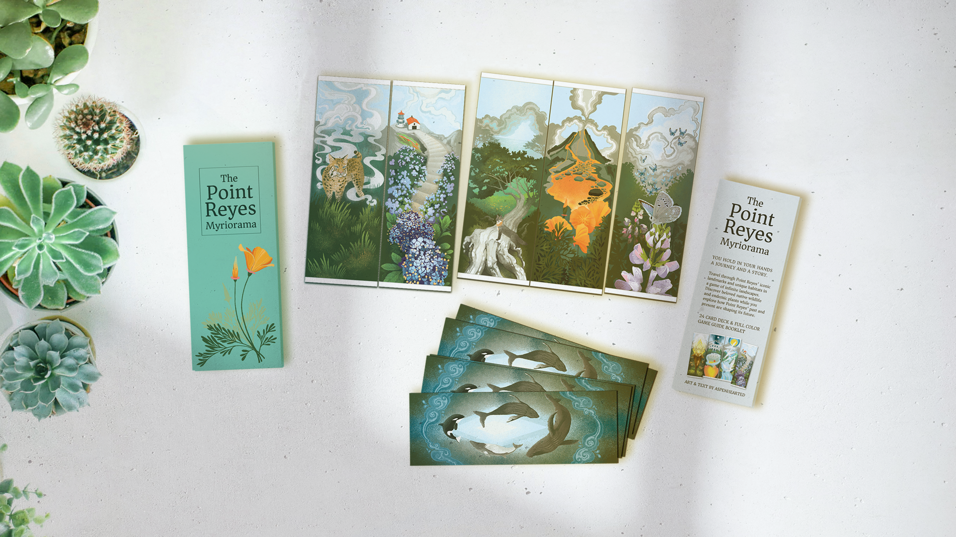 The Point Reyes Myriorama (Pre-Order)